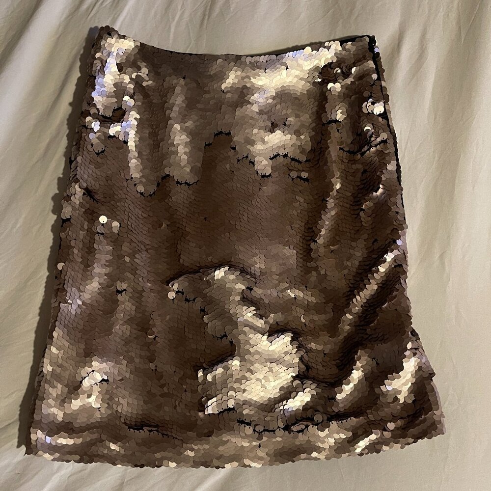 ZARA Sequin Mini Skirt – Sparkle Party Skirt (Size M)